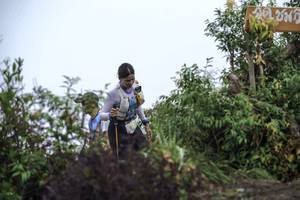 BIB: 
                            <button type="button" onclick="openModal(24738849)" class="btn btn-primary btn-sm float-right btn-popup" data-toggle="modal" data-target=".modal-high-quality">
                        <i class="fas fa-shopping-cart"></i> Add to Cart
                    </button>
                                            <button type="button" onclick="isThisMe(24738849, true)" class="btn btn-success btn-sm float-right btn-popup btn-isme hidden" data-toggle="tooltip" data-placement="bottom" title="นี่คือรูปของคุณใช่ไหม คลิกที่นี่เพื่อเอาเข้าอัลบั้ม">
                        <i class="fas fa-plus"></i> Add to album
                    </button>
                    <button type="button" onclick="isThisMe(24738849, false)" class="btn btn-warning btn-sm float-right btn-popup btn-isnotme hidden">
                        <i class="fas fa-ban"></i> Remove from album
                    </button>